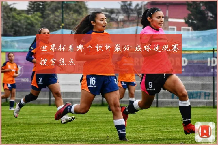 世界杯看哪个软件最好 成球迷观赛搜索焦点