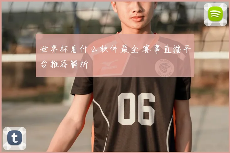 世界杯看什么软件最全 赛事直播平台推荐解析