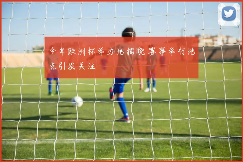 今年欧洲杯举办地揭晓 赛事举行地点引发关注