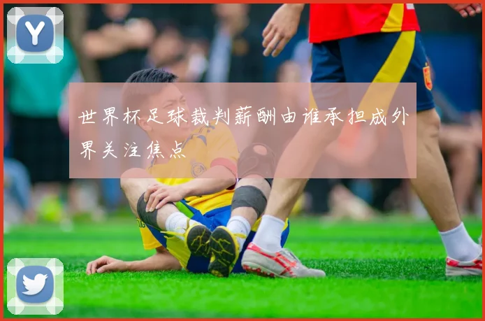 世界杯足球裁判薪酬由谁承担成外界关注焦点