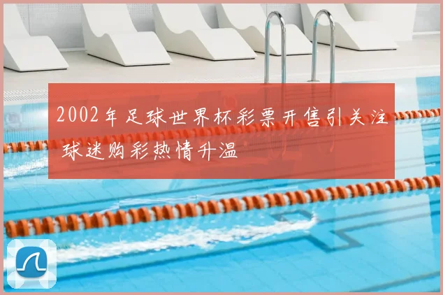 2002年足球世界杯彩票开售引关注 球迷购彩热情升温