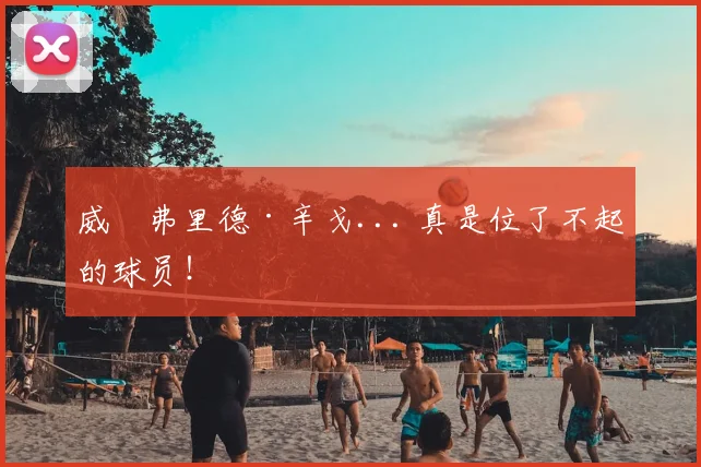威爾弗里德·辛戈... 真是位了不起的球员！