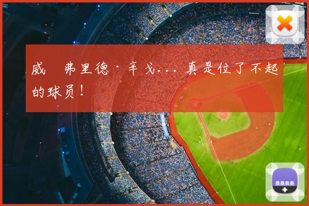 威爾弗里德·辛戈... 真是位了不起的球员！