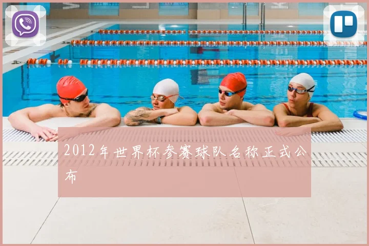 2012年世界杯参赛球队名称正式公布