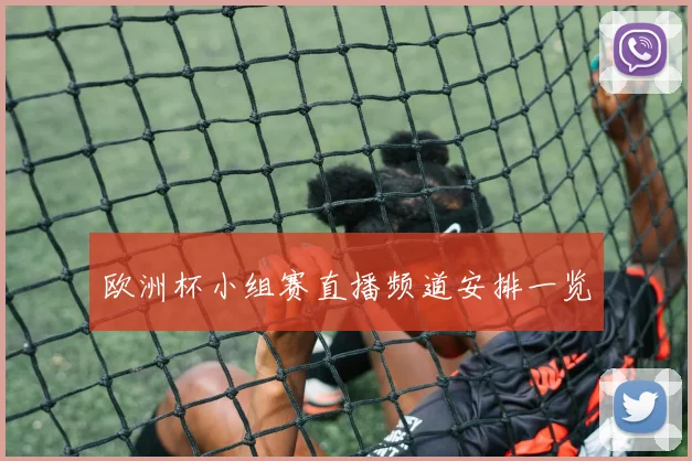 欧洲杯小组赛直播频道安排一览