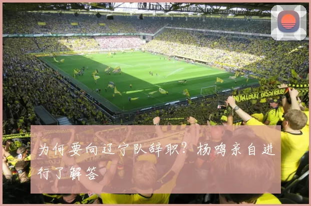 为何要向辽宁队辞职?杨鸣亲自进行了解答