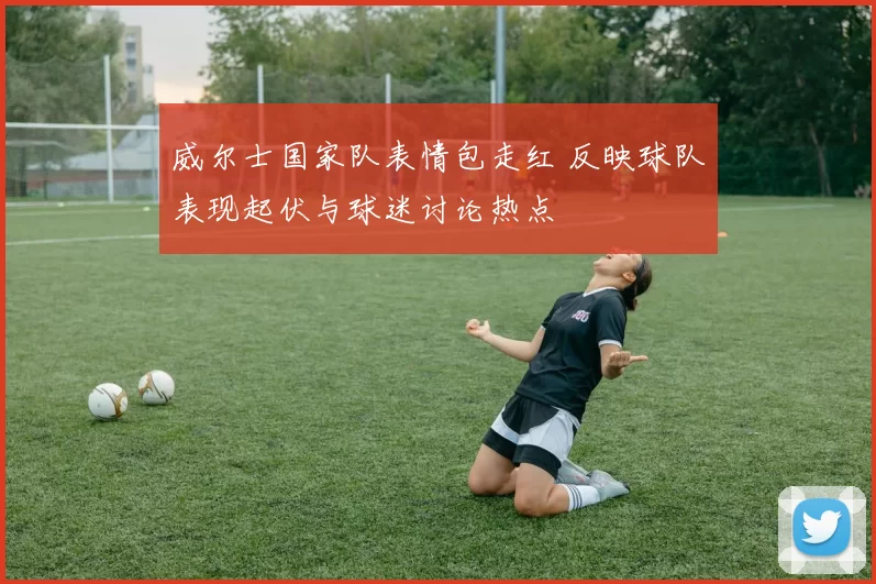 威尔士国家队表情包走红 反映球队表现起伏与球迷讨论热点